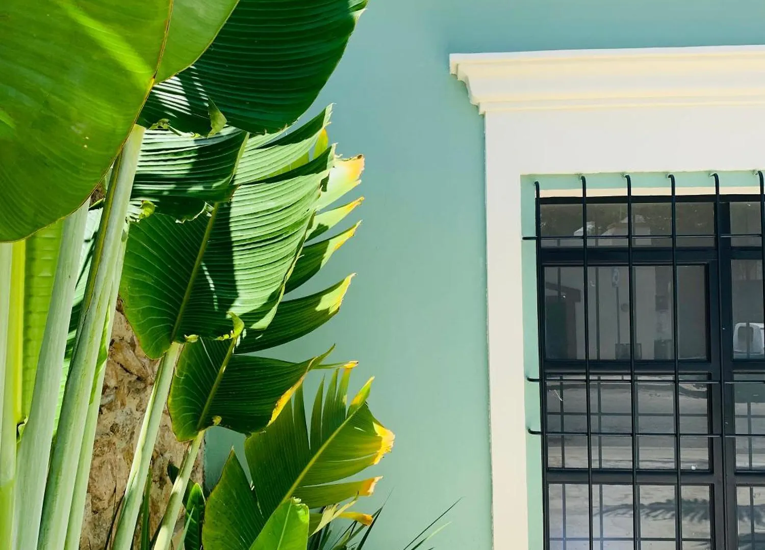 Casa Magu Merida Bed & Breakfast