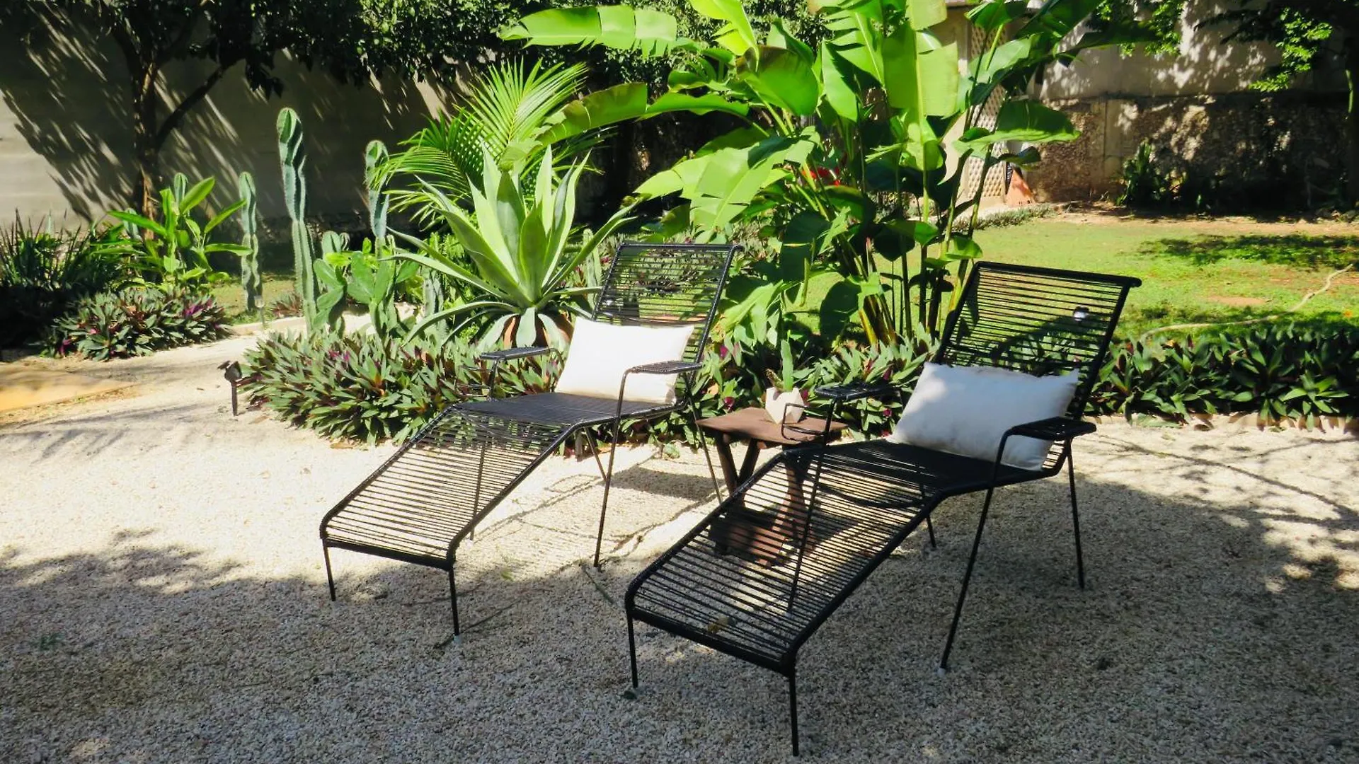 Bed & Breakfast Casa Magu Merida